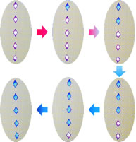 m^C}[