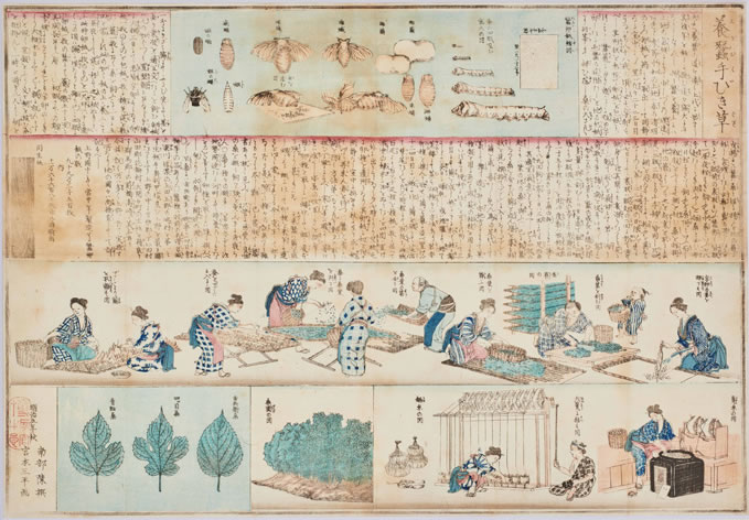 江戸時代の養蚕工程