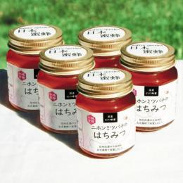 ニホンミツバチの蜂蜜 5個セット(160g×5)